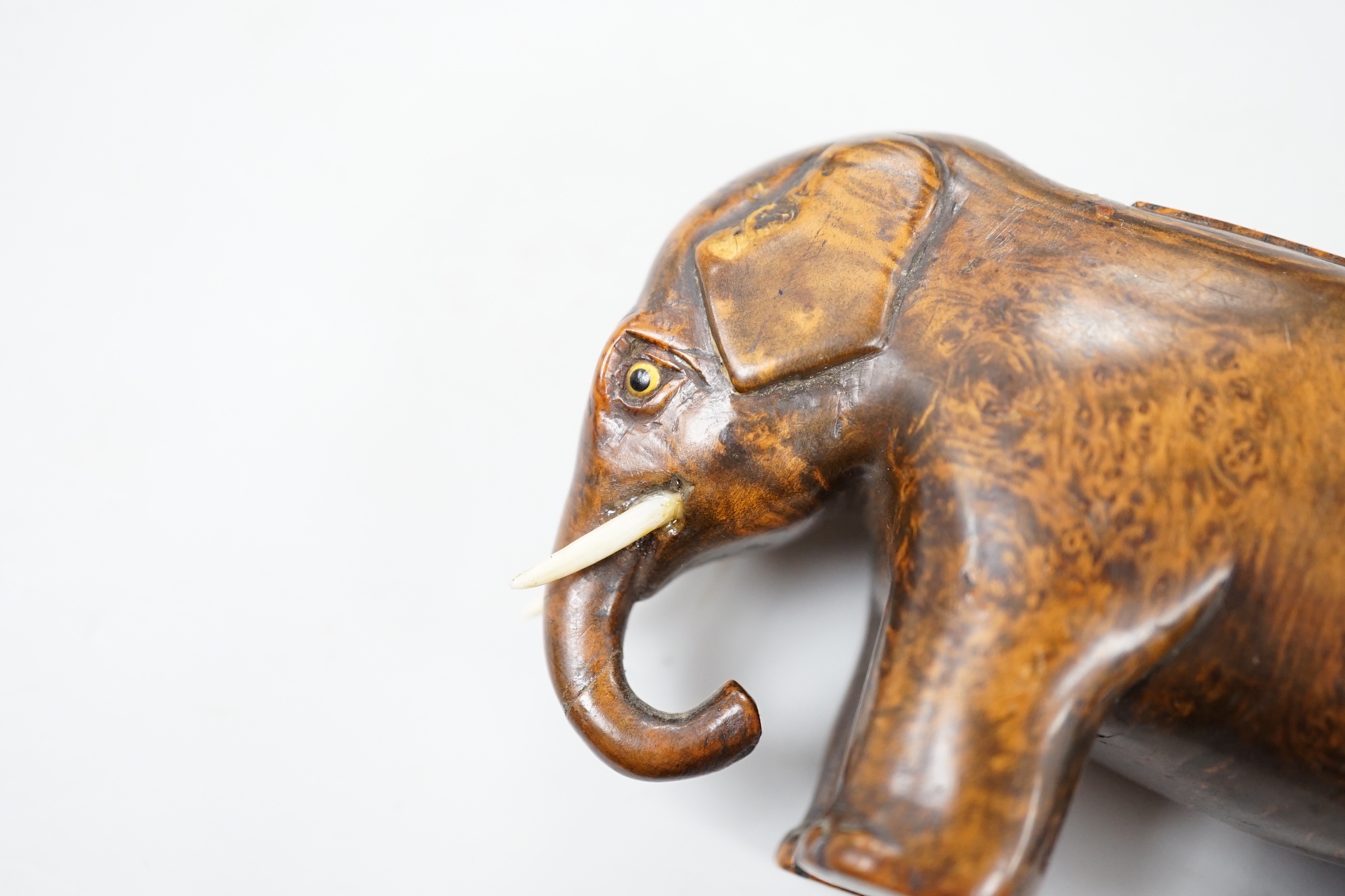 A 19th century burr wood ‘elephant’ snuff box, 11cm wide